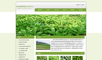 城市鹽都區旺綠果蔬種植專業合作社